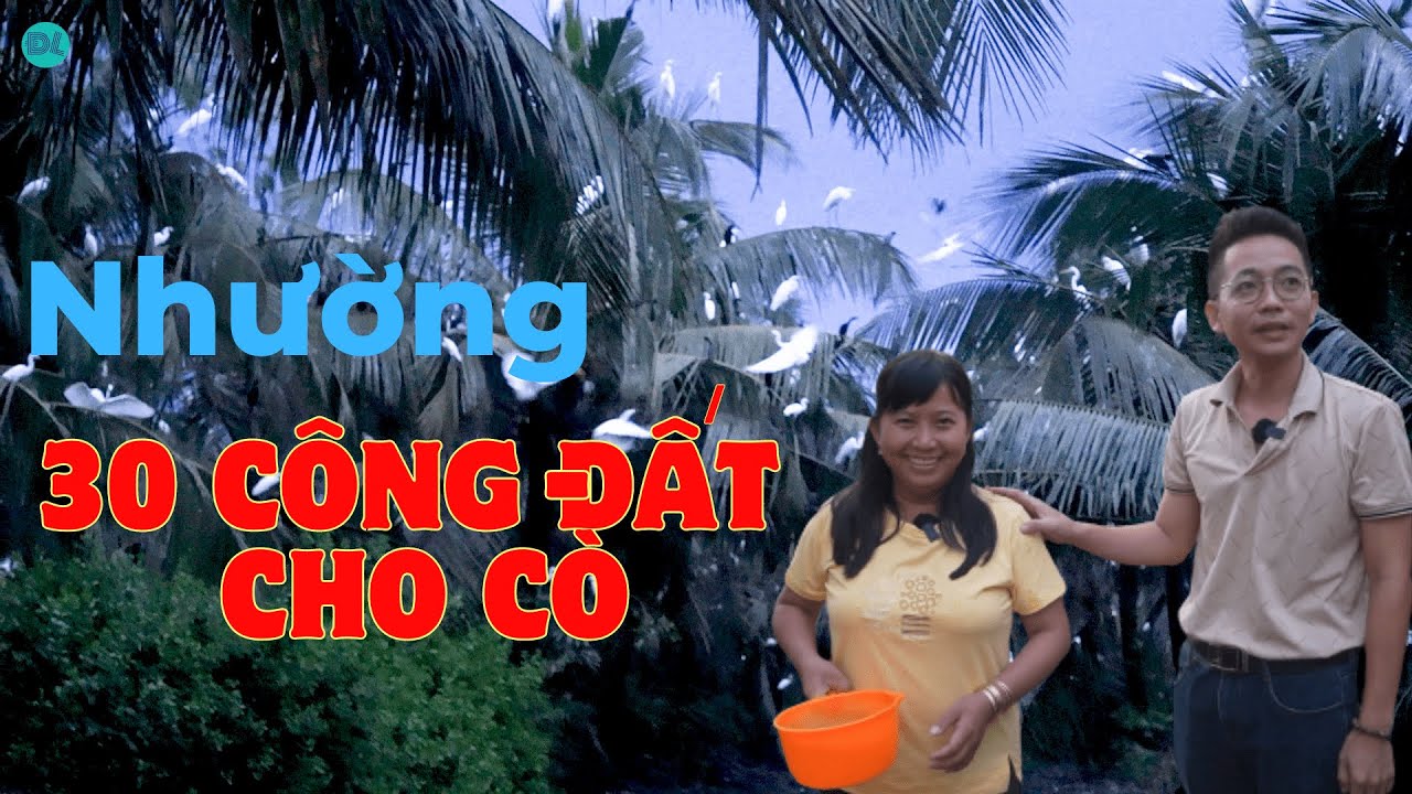 Người phụ nữ nhường 30 công đất cho cò ở - ĐỘC LẠ BÌNH DƯƠNG