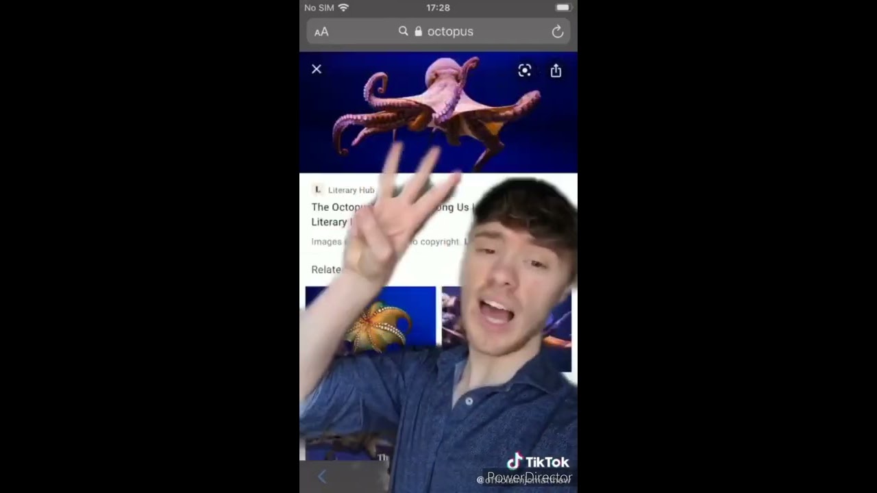 MjcMatthew || Tik Tok Compilation || Part 1