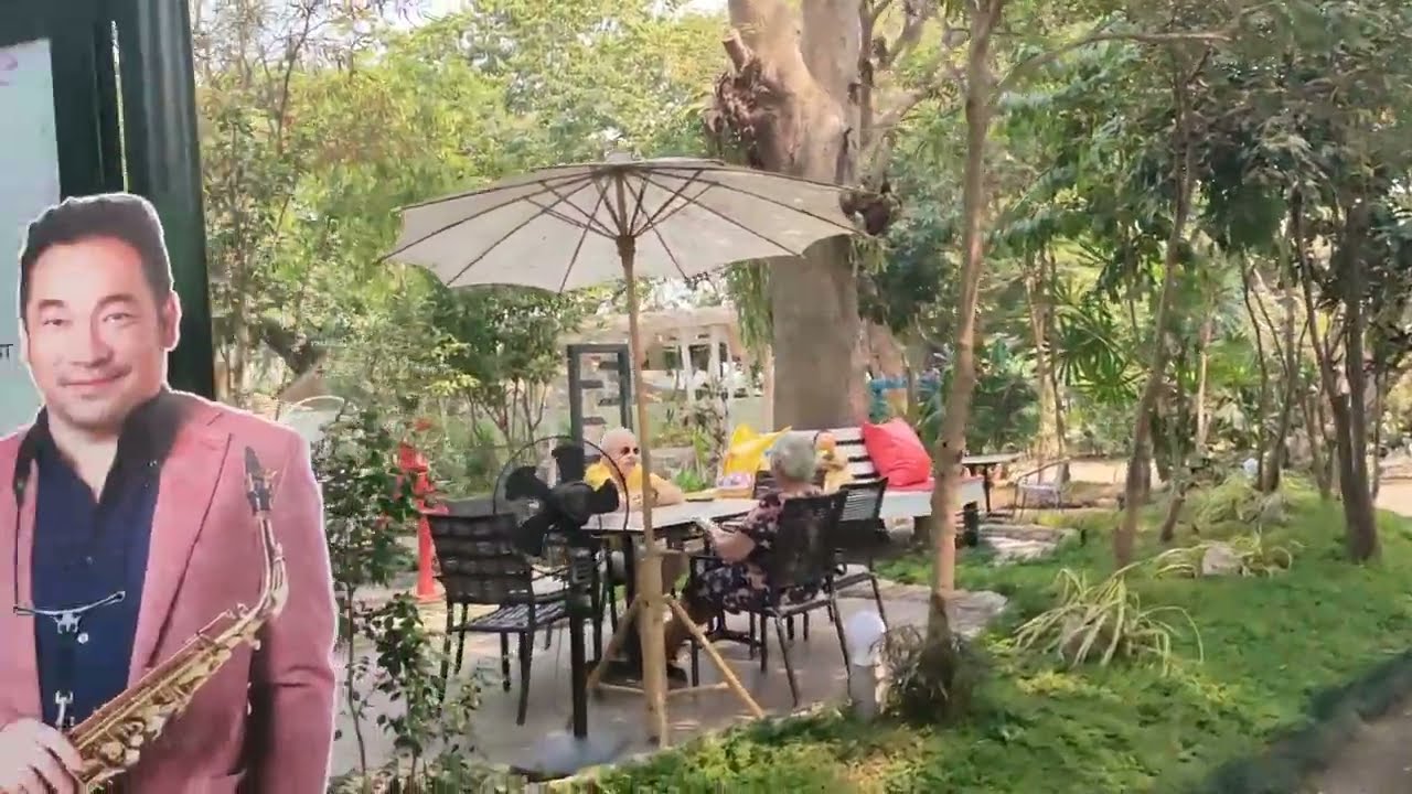Nest Cafe Maerim Chiangmai