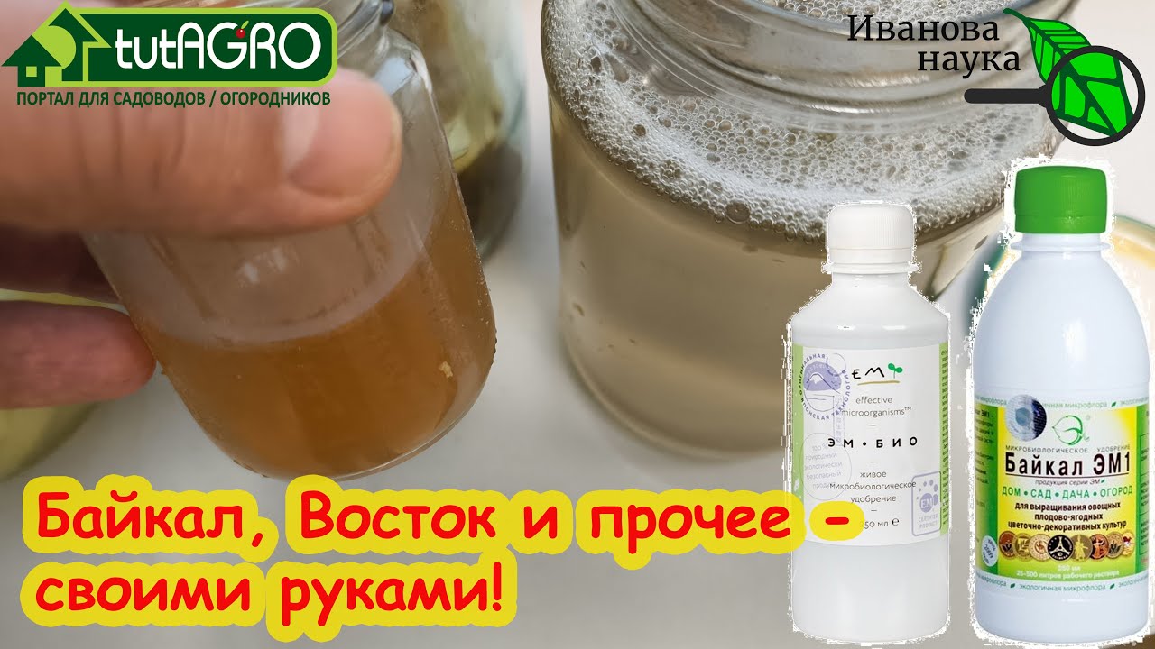 В 1000 РАЗ ЛУЧШЕ СВОИМИ РУКАМИ! Препараты БАЙКАЛ ЭМ-1, ВОСТОК ЭМ и прочие не покупаем, готовим сами.