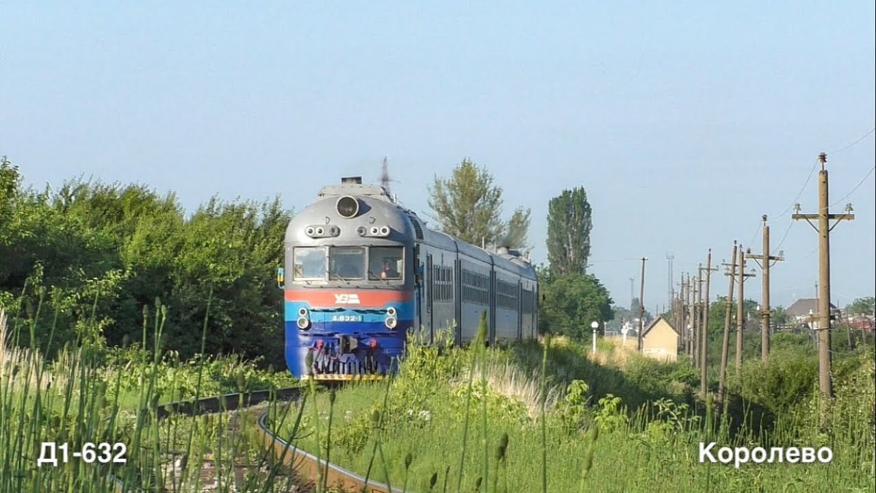 Теплим літнім ранком Д1 пробирається крізь високі зарослі
