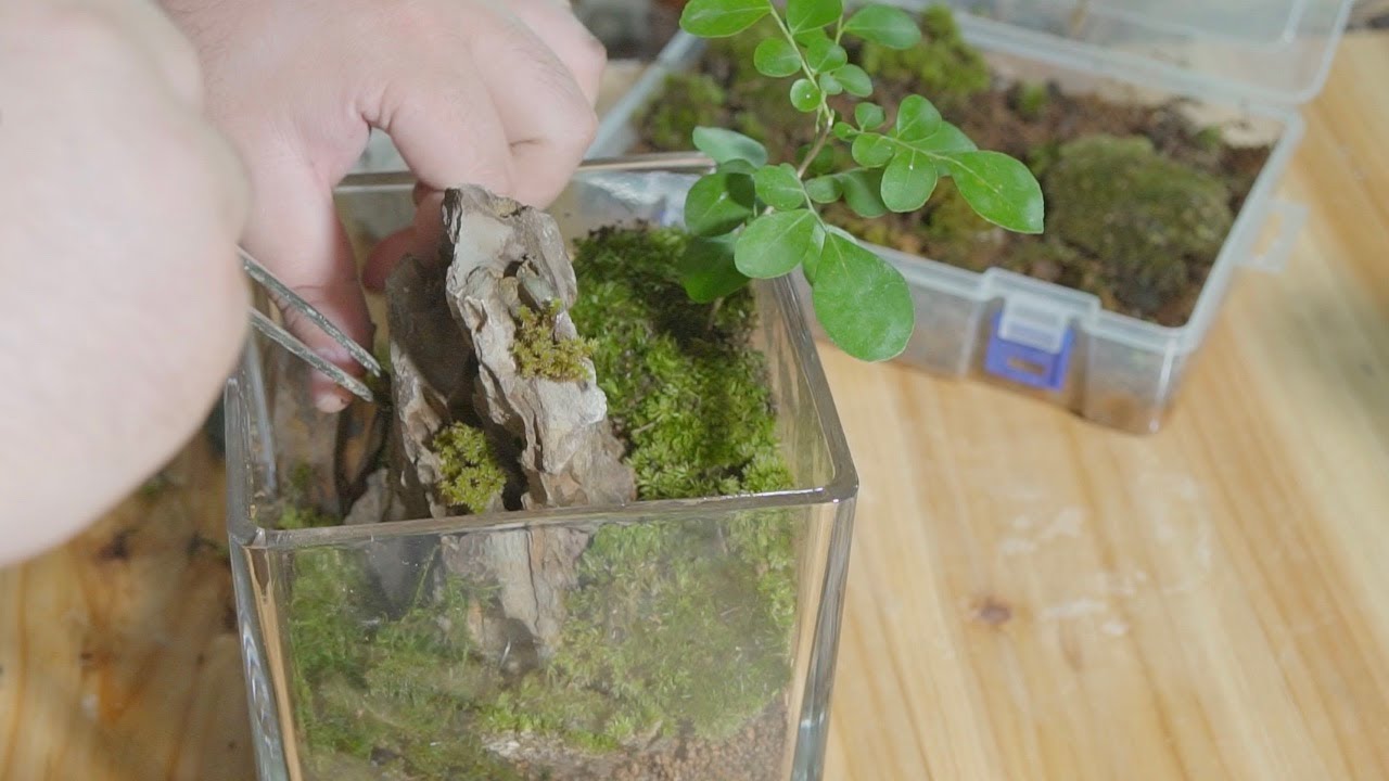 46 How to Make a Micro Landscape about Mountains - Tutorials for Beginners
