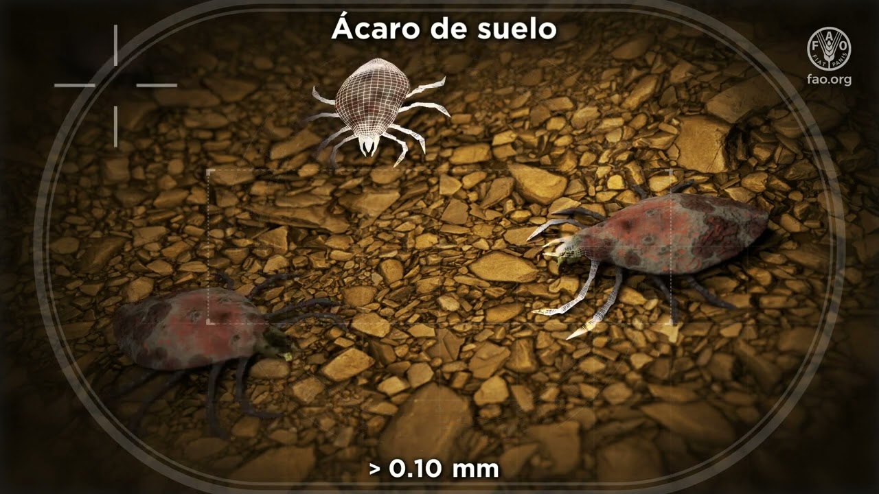 3 de marzo de 2026