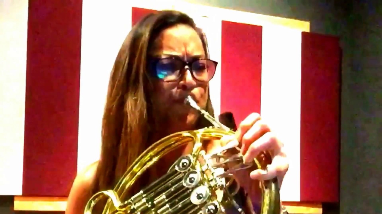 Lynyrd Skynyrd - Freebird CRAZY guitar solo on electric French horn!