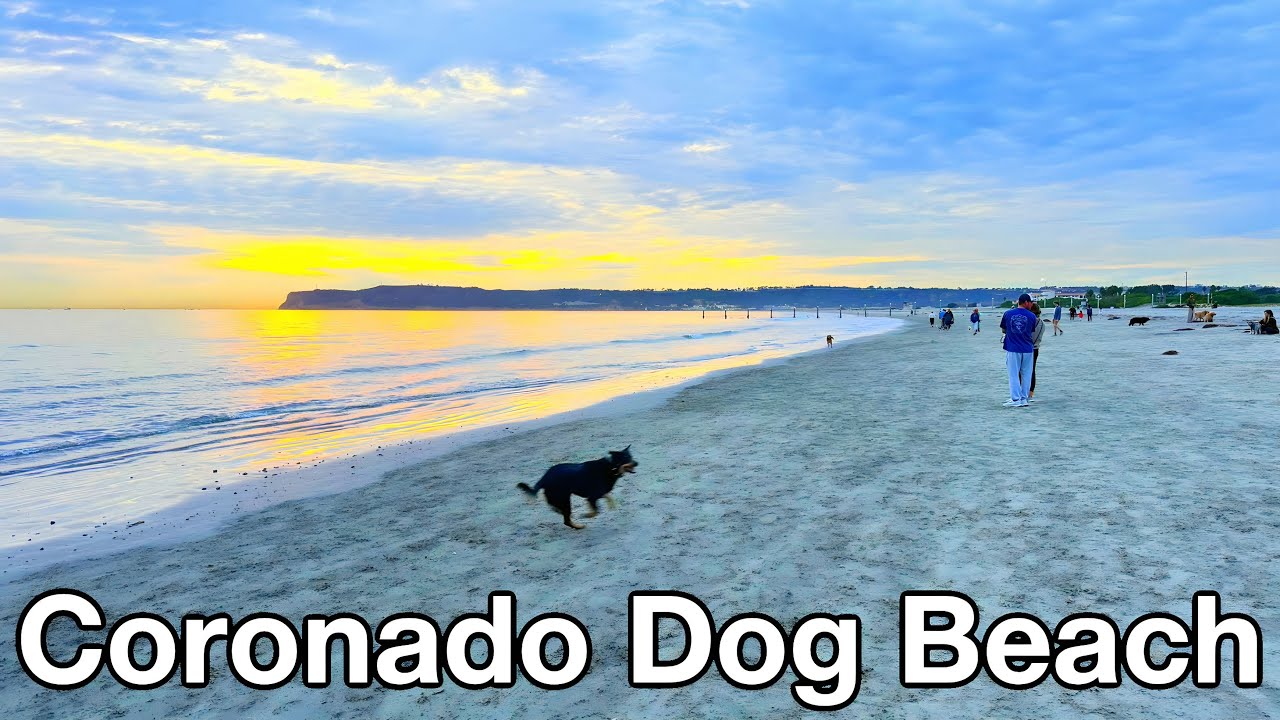 [NEW 2026] Coronado Dog Beach Walkthrough - 4K POV