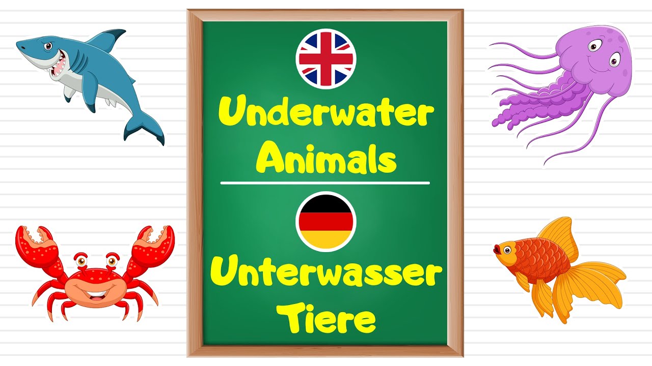 Learn Underwater Animals names in German Language for Kids and Beginners.