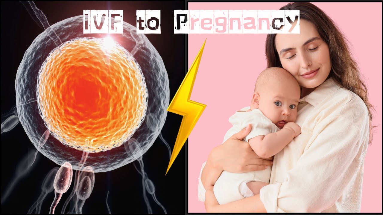 Babysure IVF #babysureivf #ivf