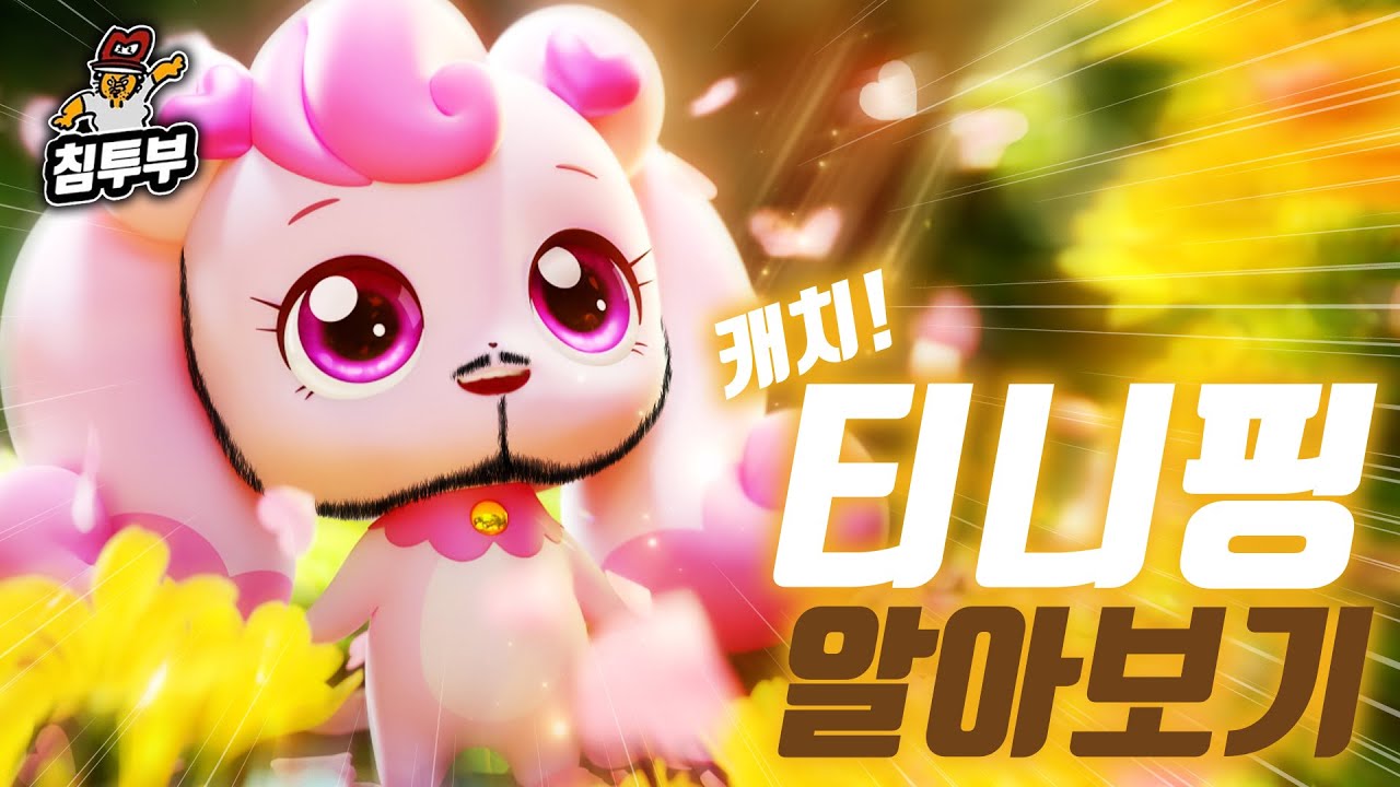 최대한 늦게 입문 시켜야 한다