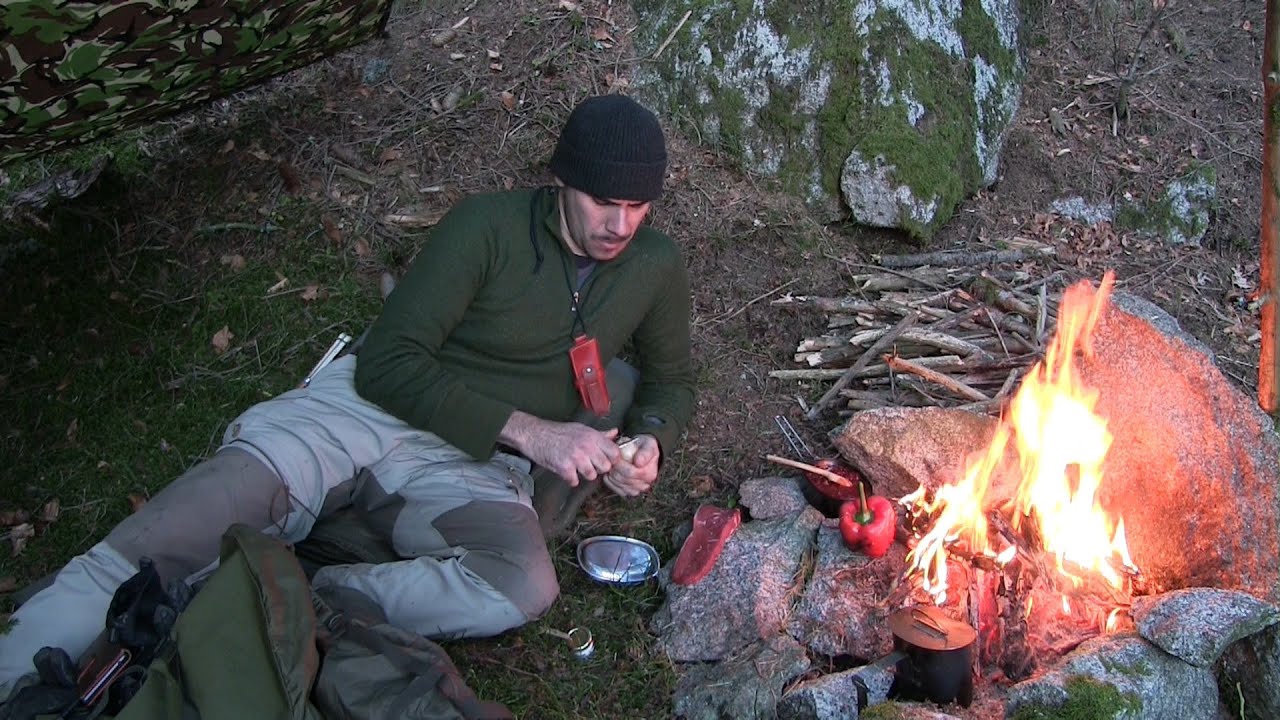 Kochen im Wald | frische Pilze | Bushcraft Schwarzwald