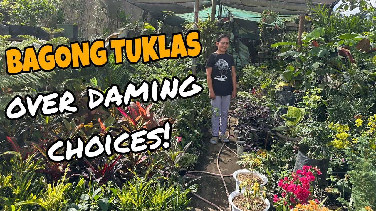 JACKPOT 1ST TIME MAVLOG! PROPA OVERLOAD... #gardentour 