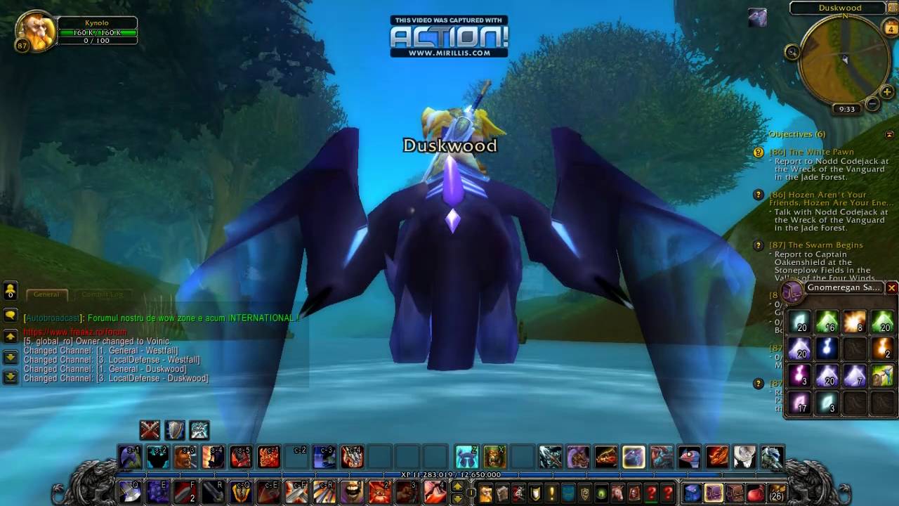 WoW Netherwing Drake , presentation...