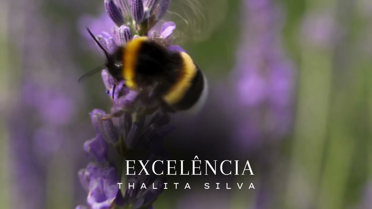 Excelência | Thalita Silva