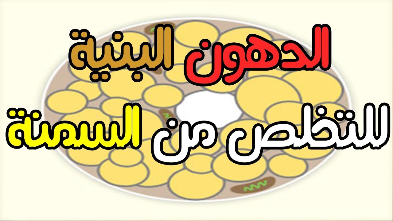 الدهون البنية للتخلص من السمنة و كيفية زيادة الدهون البنية