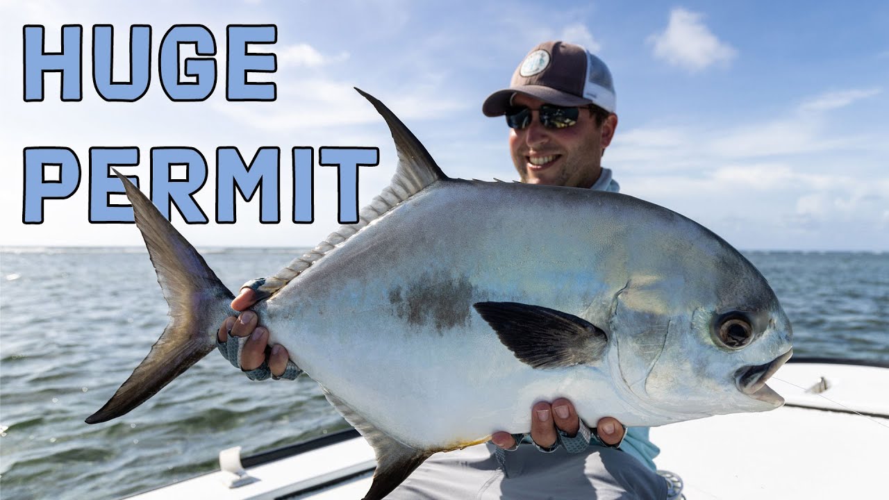 Fly Fishing Belize: HUGE Permit at Blue Horizon Lodge