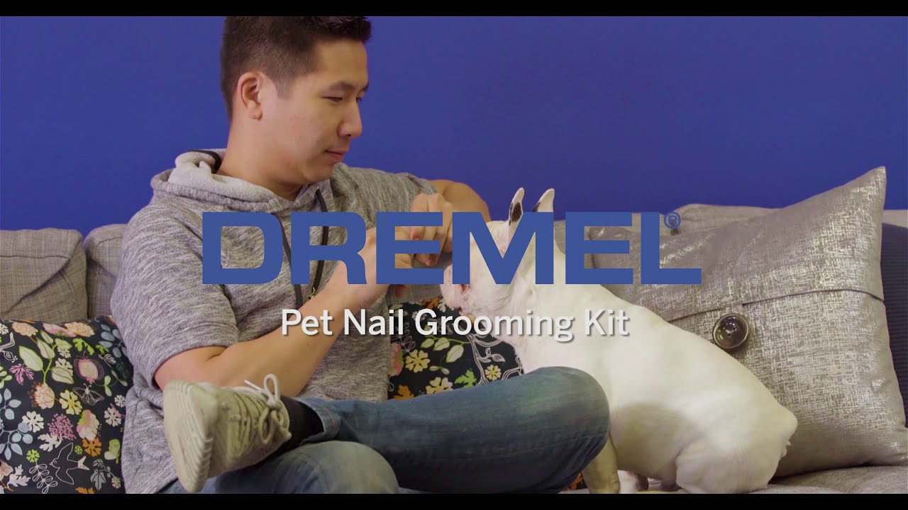 How to use the Pet Grooming Kit (7020)