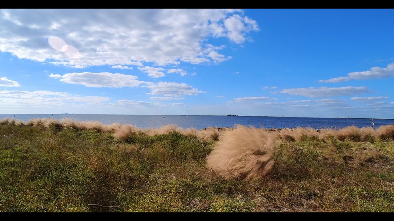 Is There A Beach In Apollo Beach, Florida? Let's Find Out [Tampa Bay, November 2024]