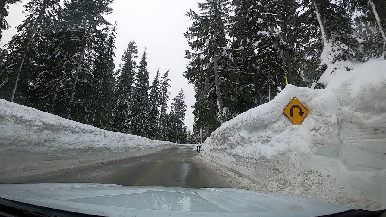Drive from Longmire to Paradise Inn at Mt Rainier National Park, Washington