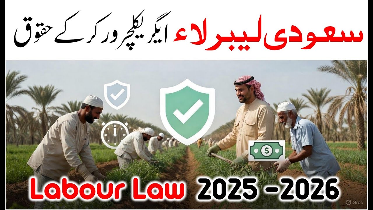 Basic rights of agricultural workers in Saudi Arabia - Saudi labour law 2026 - Saudi info