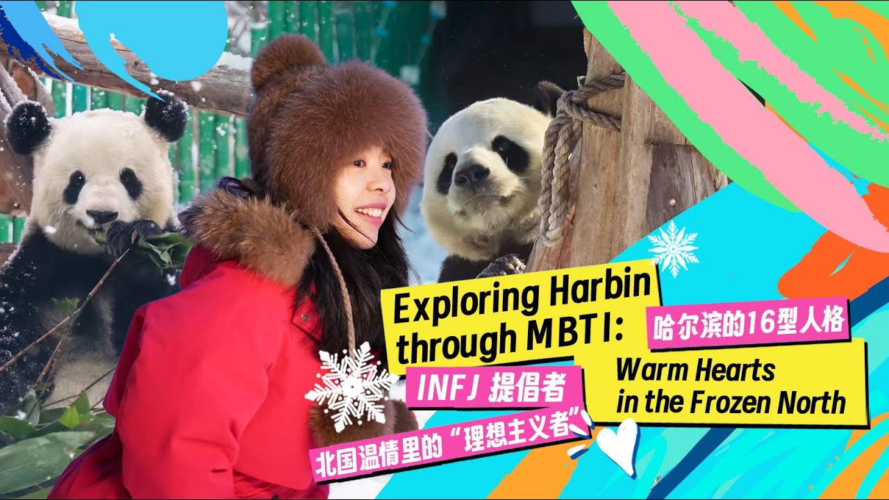 Frost meets fur: Harbin's gentle pandas in the cold north