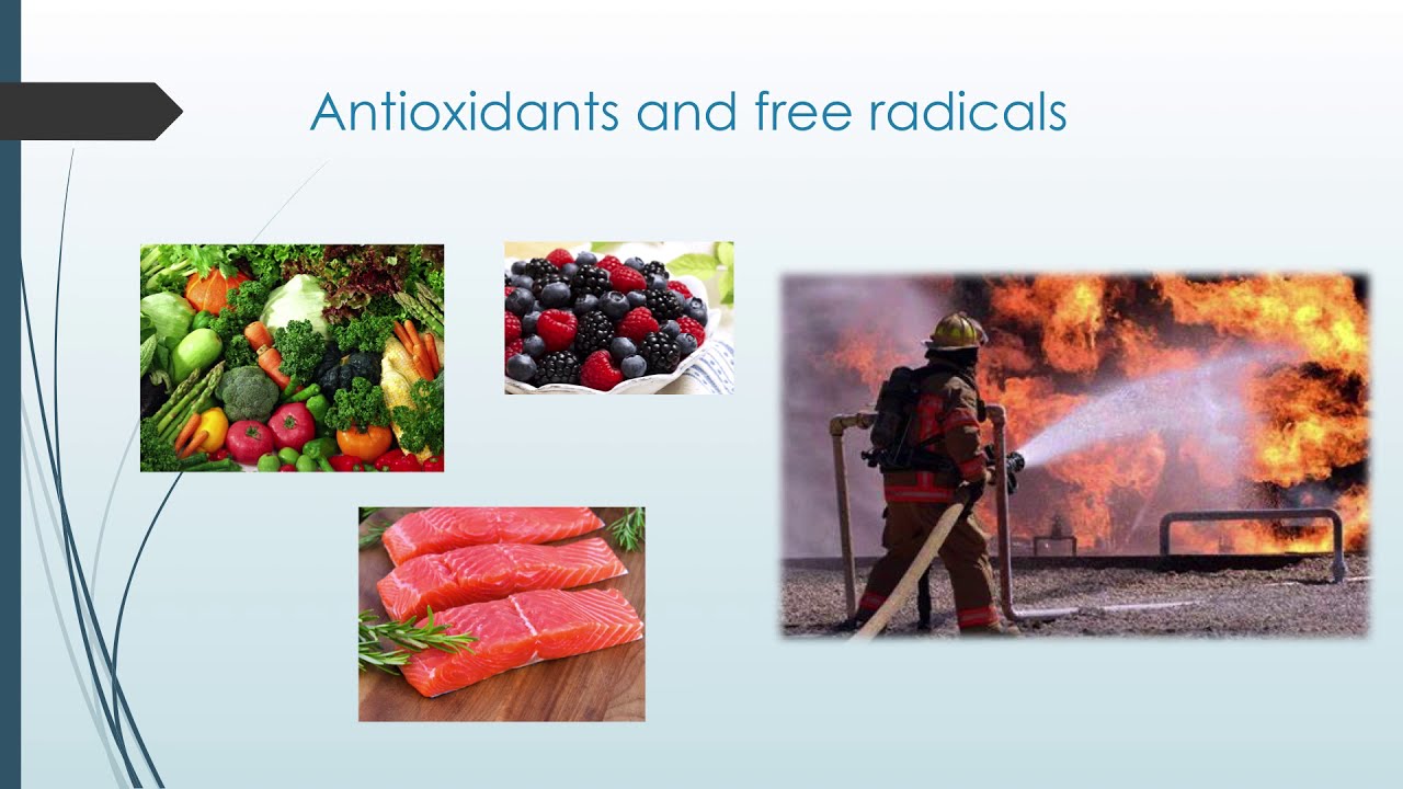 Nutrition and Exercise: A possible role in Autoimmune Hepatitis?