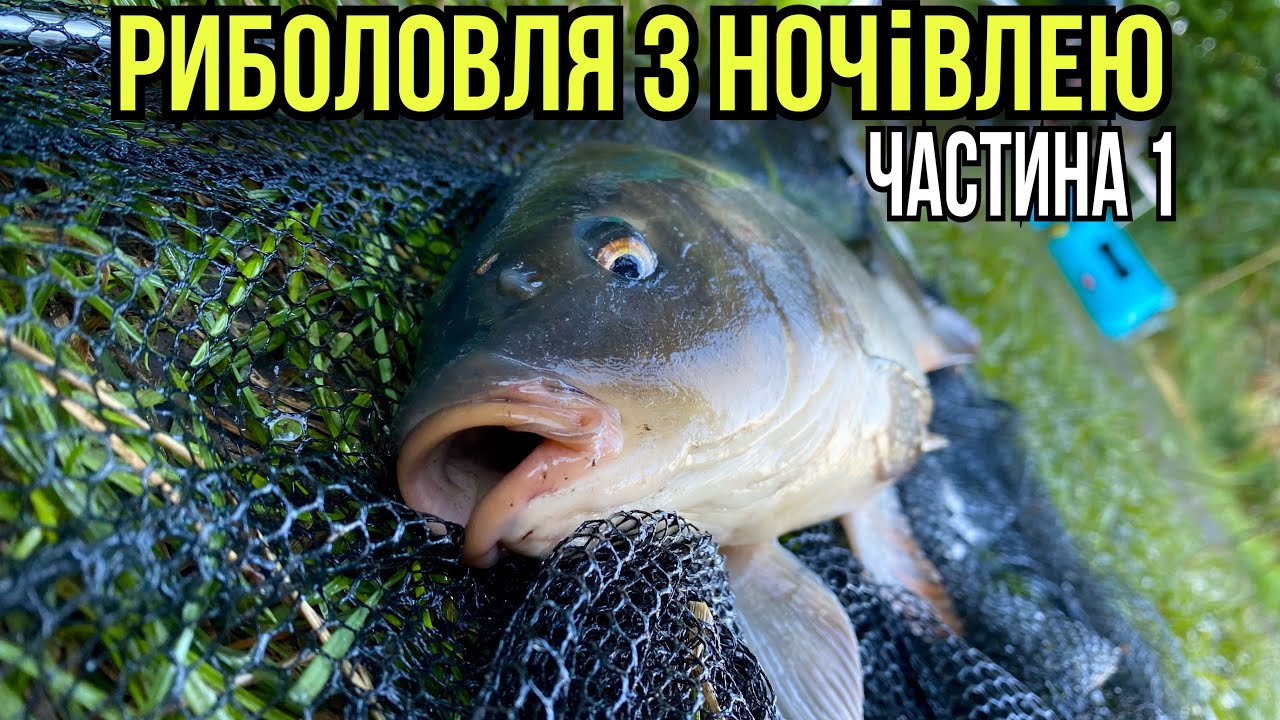 Довгоочікувана риболовля з ночівлею! Ловля коропа. Шашлик та відпочинок. Риболовля 2022 Частина 1