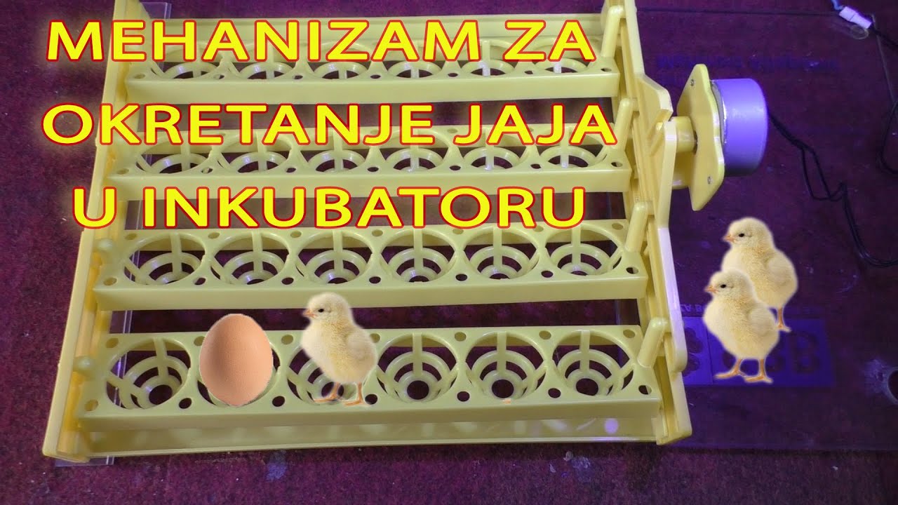 Mehanizam za automatsko okretanje jaja u inkubatoru