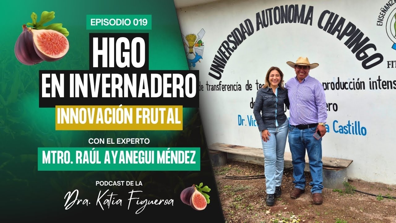Episodio #019. Producción de higo en invernadero