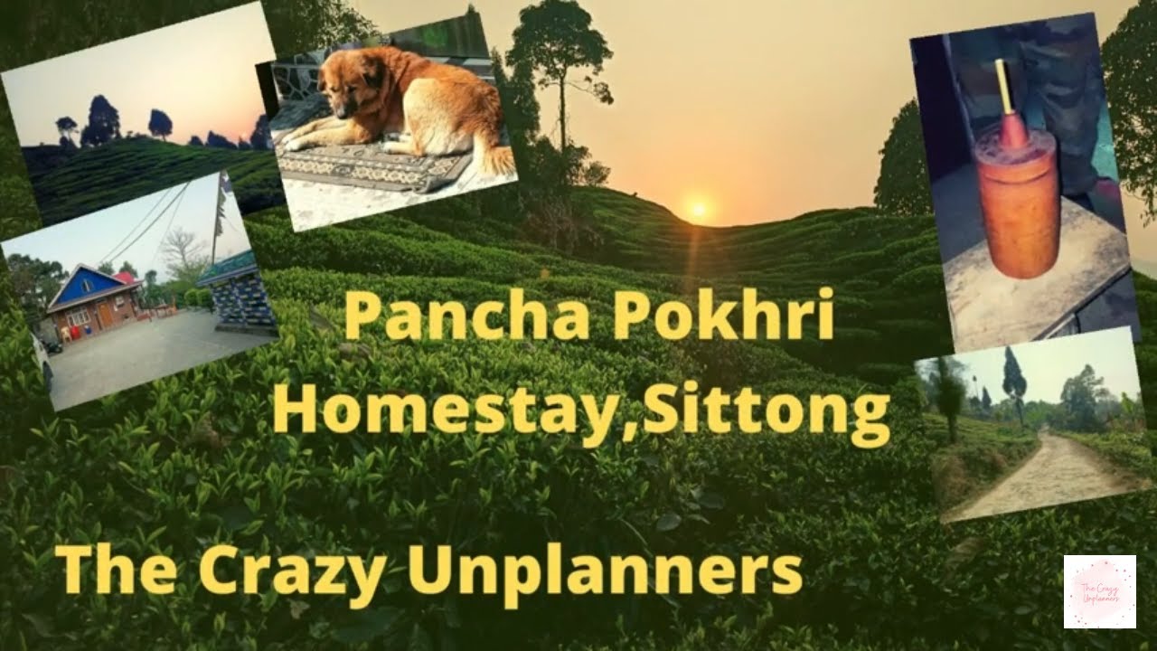 PAANCH POKHRI HOMESTAY || Best Place to Stay In Sittong || Offbeat Place || Part 1