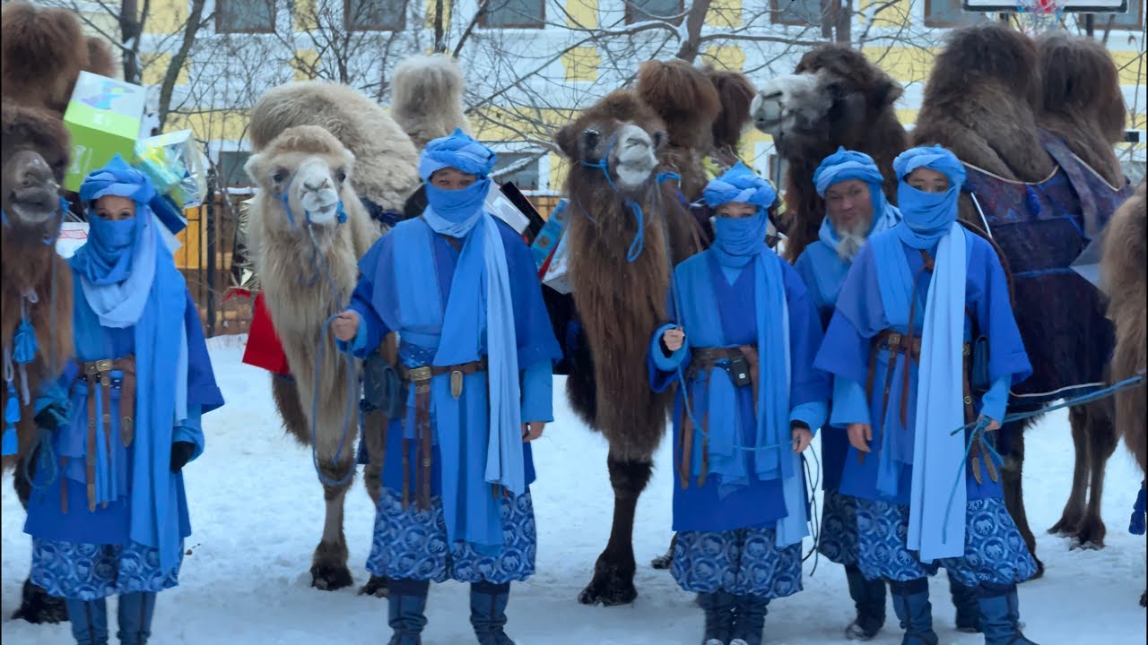 Запускаем серию прямых эфиров в Калмыкии