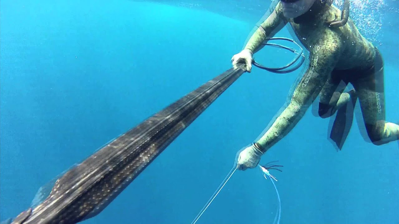 Ascension 260lbs Tuna