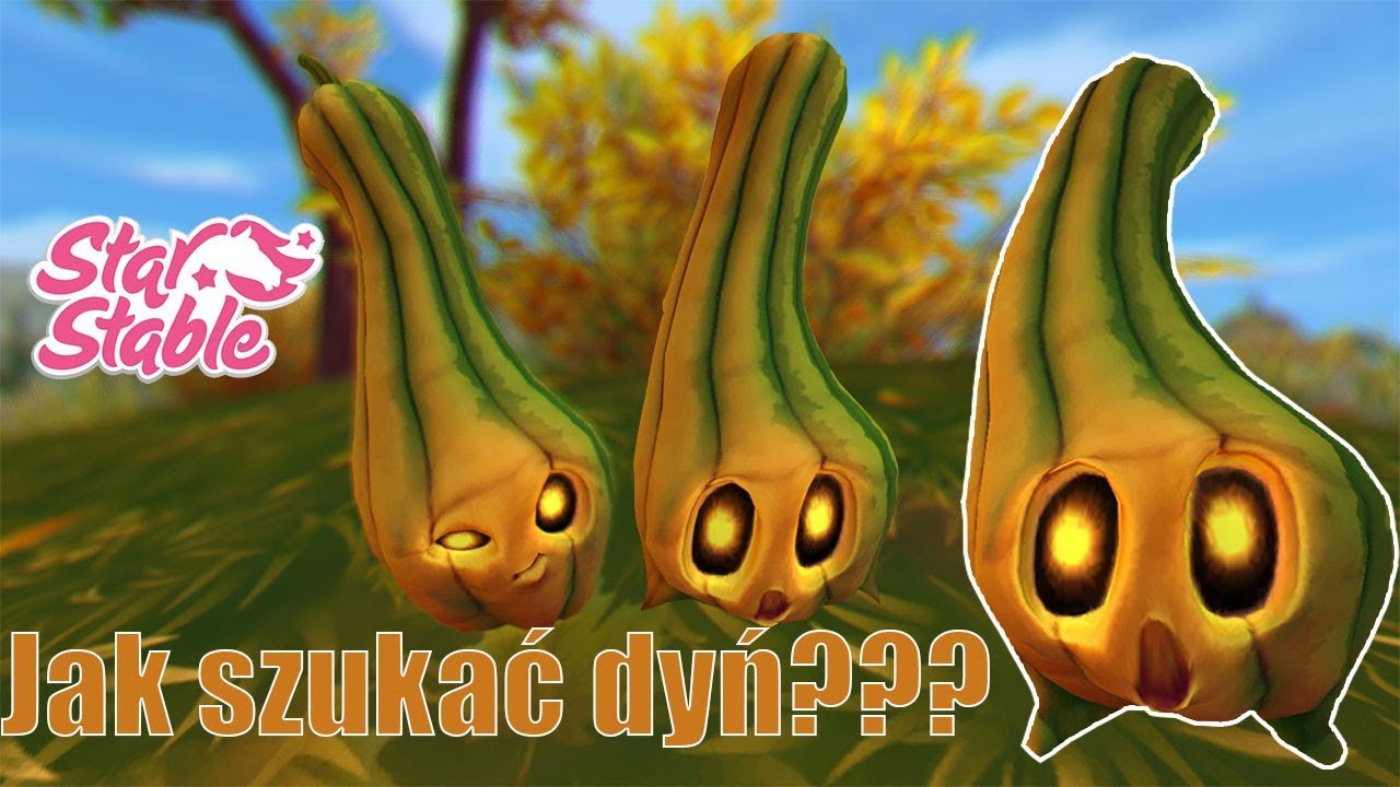 Star Stable - Jak zbierać dynie - Halloween 2019