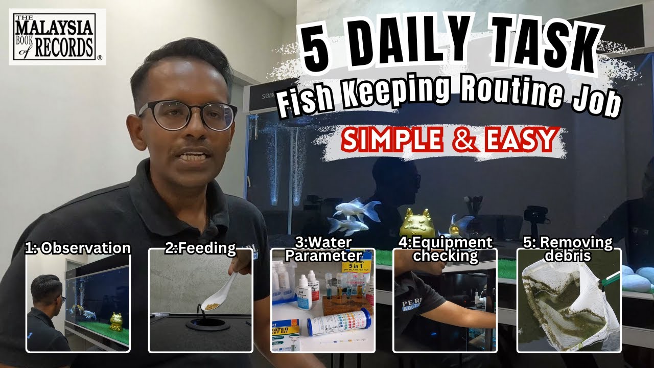 5 Daily Fishkeeping Routine Tasks