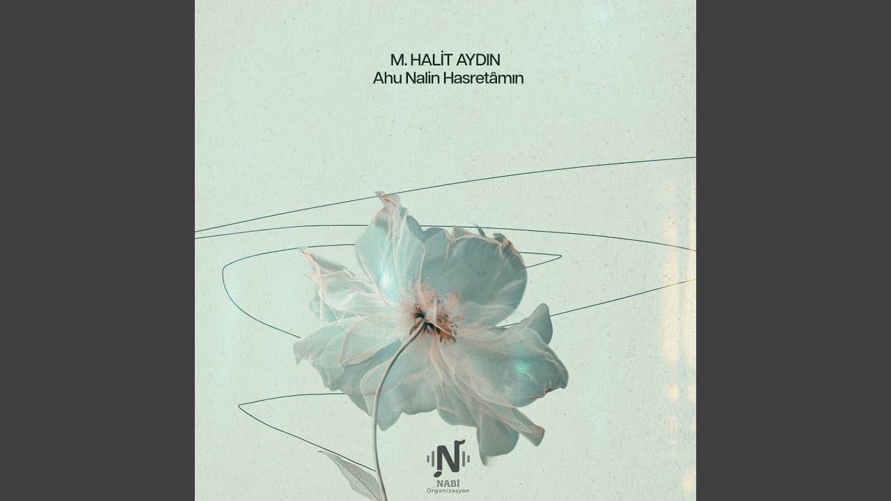 Ahu Nalîn Hasretâmın