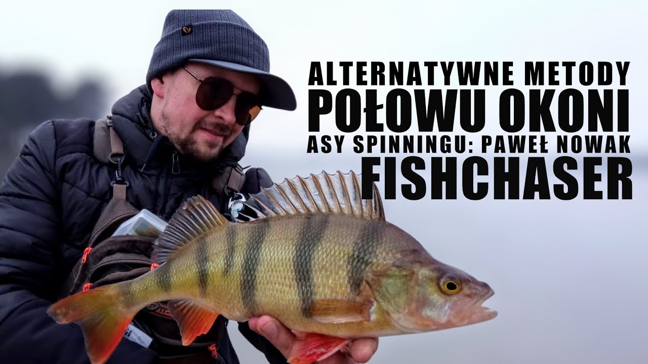 Alternatywne metody połowu okoni | Asy Spinningu: Paweł Nowak Fishchaser
