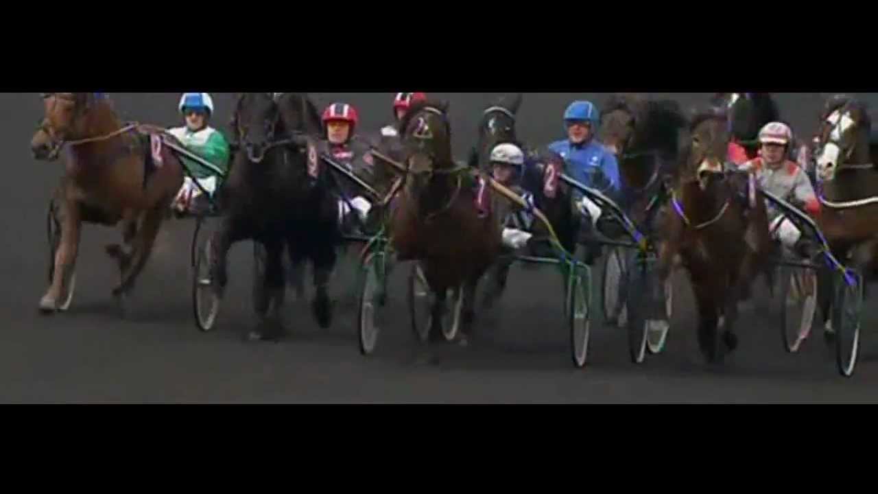 Prix Des Trotteurs sang Froid 2013_Fetter'N T.G. 1:23,4_G.V. Gundersen