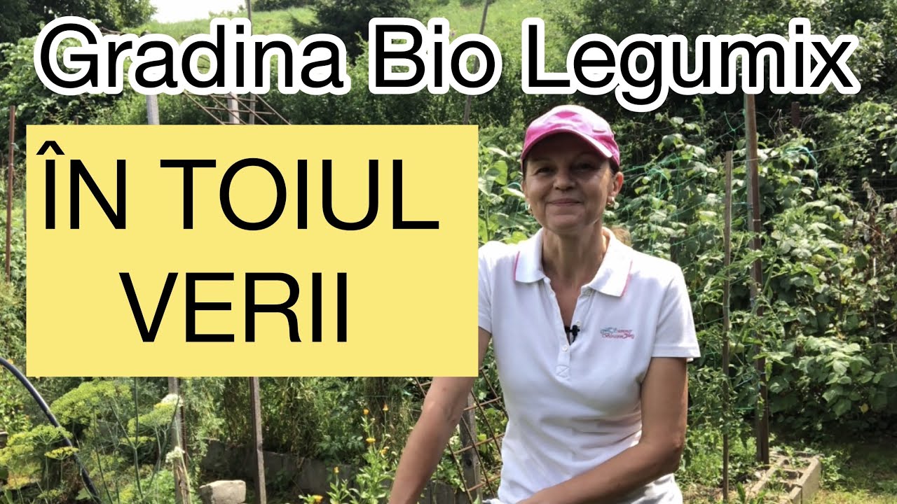 Gradina Bio Legumix in toiul verii. Ce e de facut