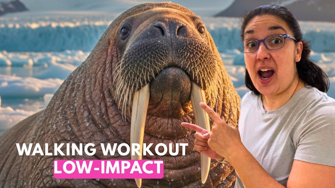 Walrus Walking Workout | Low-Impact Exercise in an Unforgettable Setting