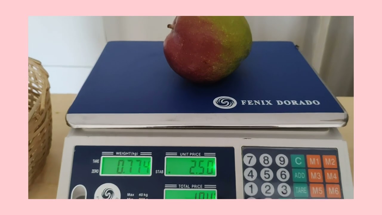 @Dicas da Neide  . Como usar balança digital Fenix Dorado, .@Shopee Brasil @amazon