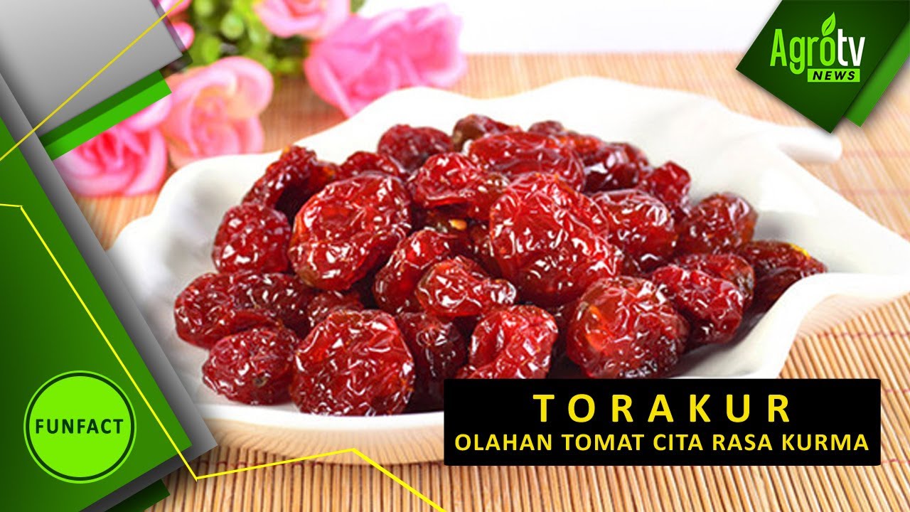 AGROTV INDONESIA - TORAKUR, OLAHAN TOMAT CITA RASA KURMA