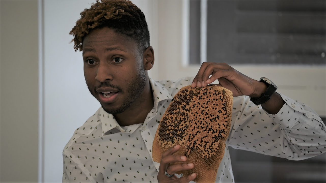 Dr Samuel Ramsey: How To Stop a Pollinator Pandemic