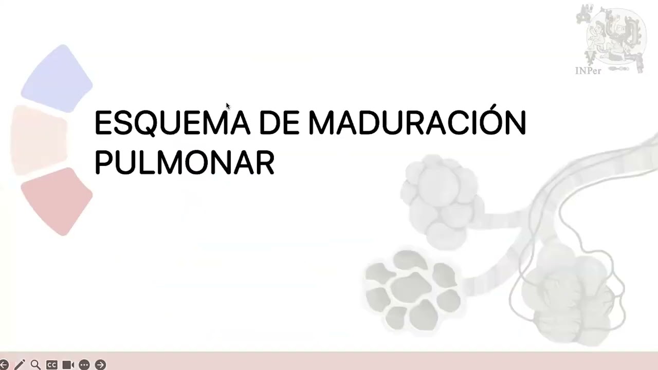 Esquema de Maduración Pulmonar Tardio, ¿Sí o No?, Dra. Grecia Palma Cordero