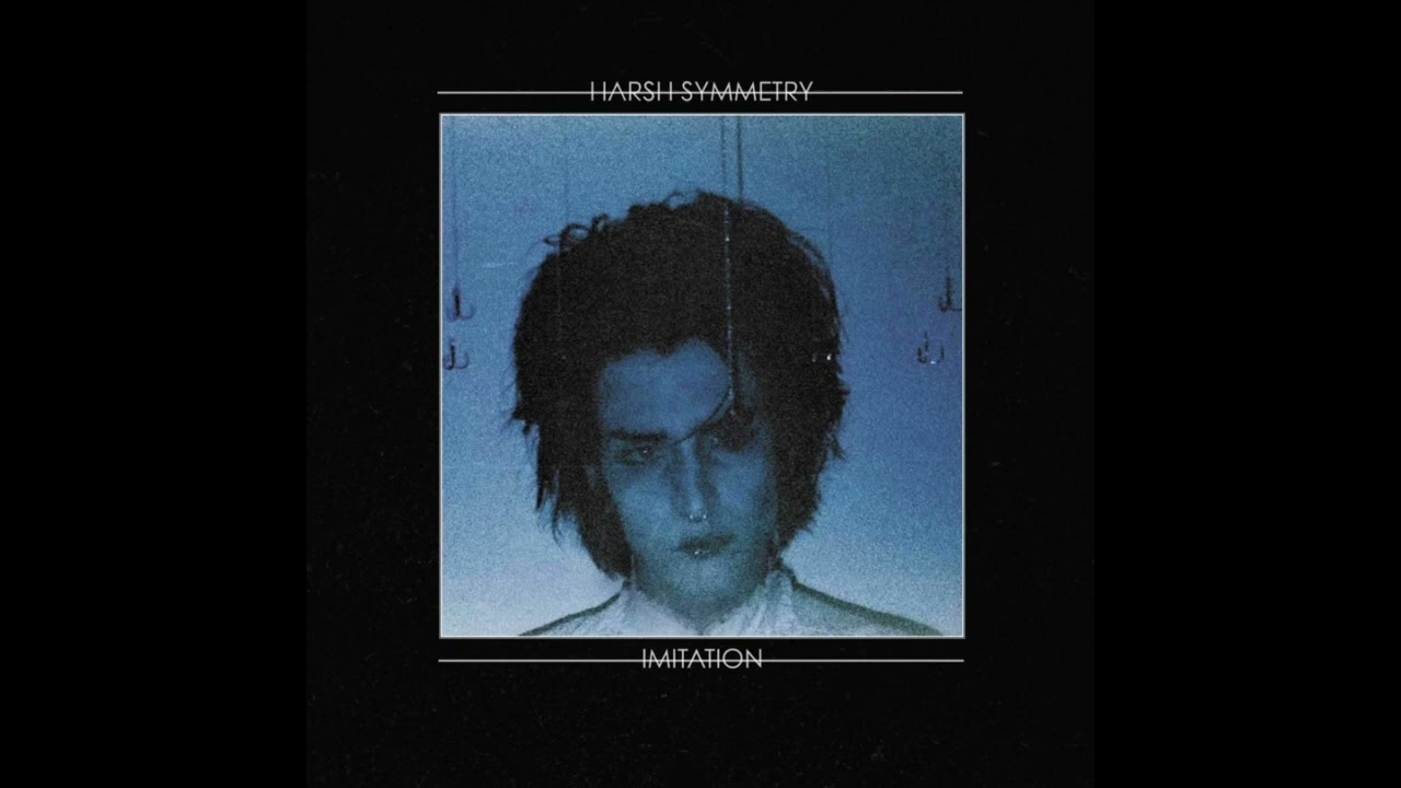 Faint Disguise - Harsh Symmetry