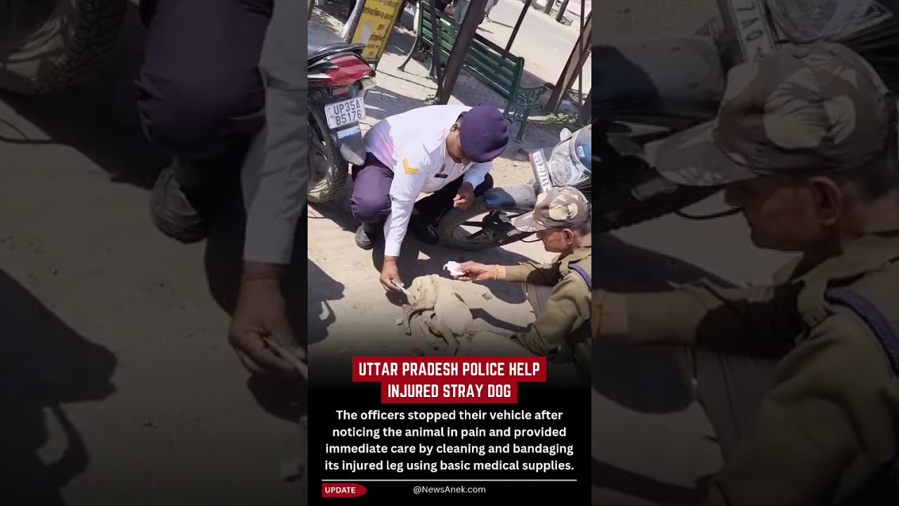 Uttar Pradesh Police Help Injured Dog With Kindness And Care
