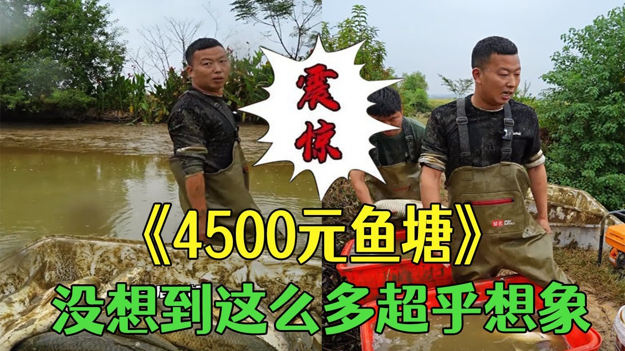 意外花4500包下口魚塘，沒想到這麽多超乎想象#小飛哥  #戶外 #包塘 #鄉村生活