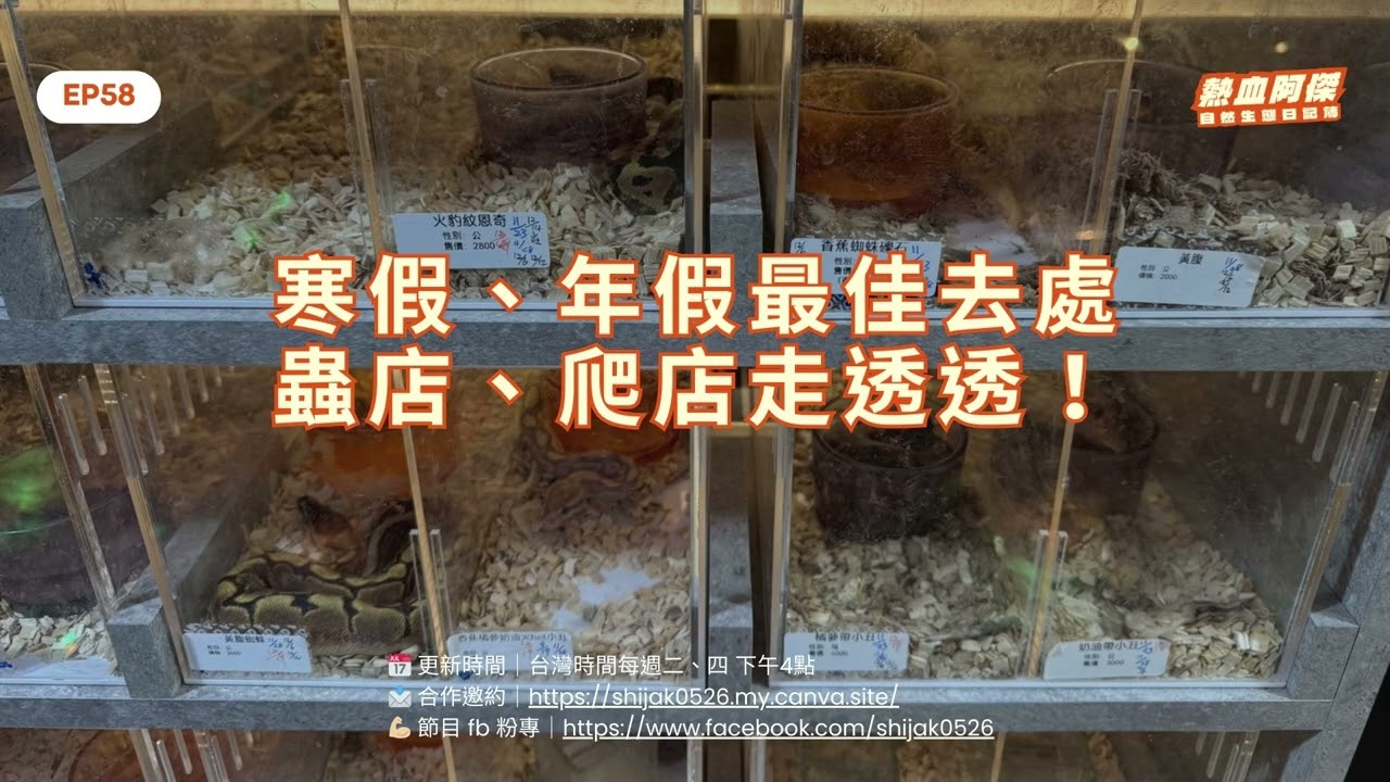 EP58 寒假、年假最佳去處：蟲店、爬店走透透！｜熱血阿傑的自然生態日記簿