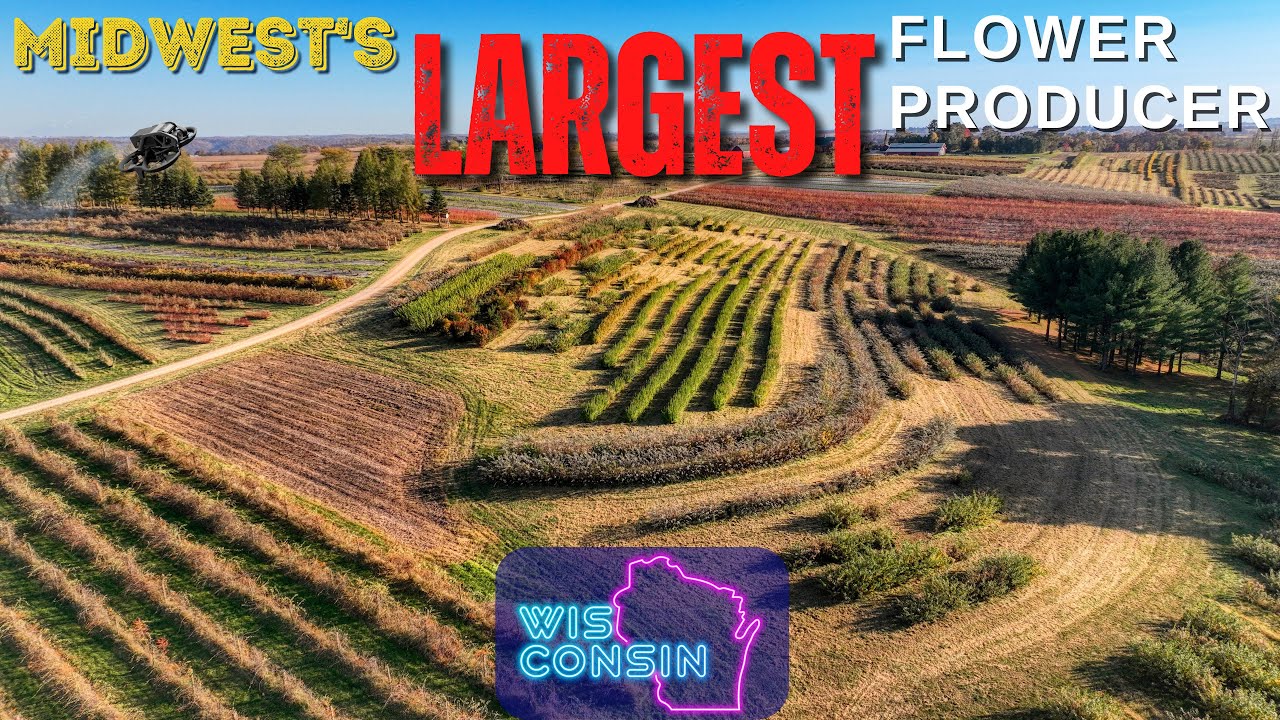 STAR VALLEY FLOWERS - The Midwest's LARGEST Entirely Field Grown Cut Flower Producer | Wisconsin