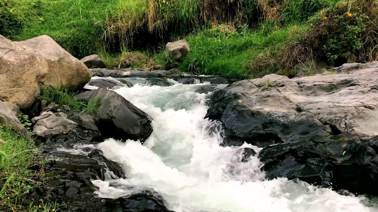 Tranquil Riverbank to help Deep Work & Peace of Mind