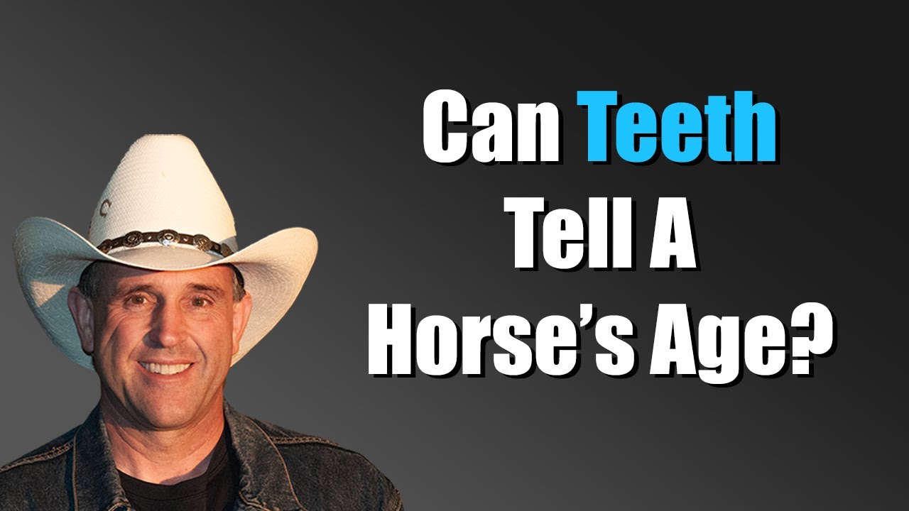 Are Teeth An Accurate Measure Of Age In Horses? by Geoff Tucker, DVM.