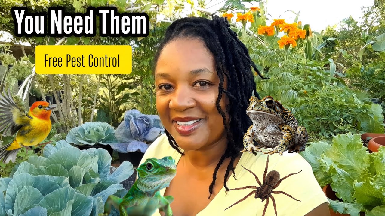 Stop Getting Rid Of Nature's PEST CONTROL In Your Gardens 