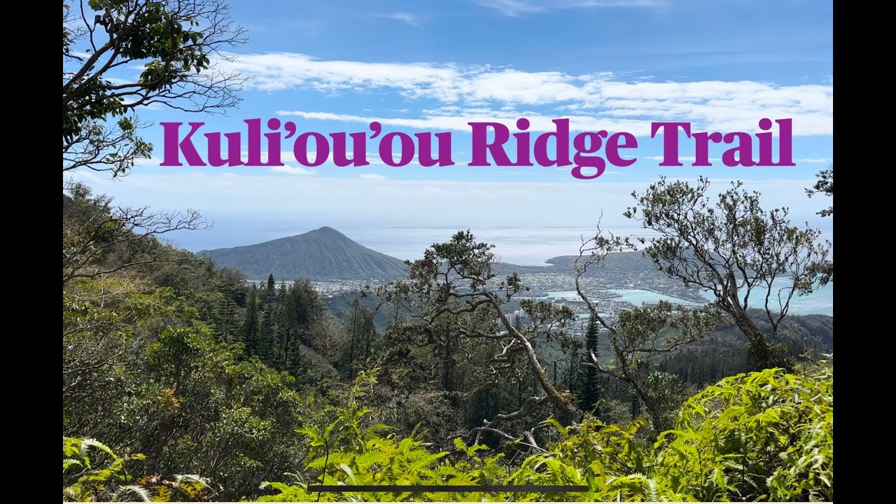 Kuliouou Ridge Trail Oahu